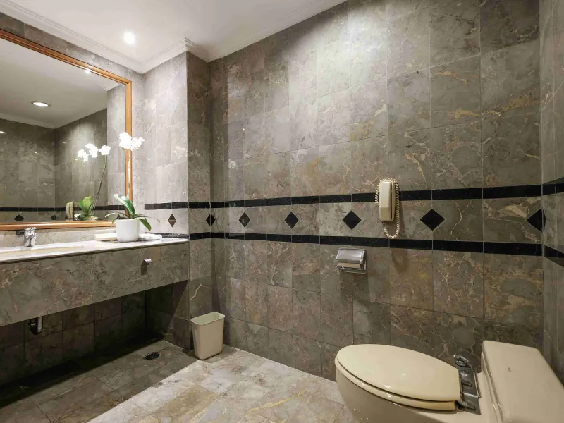 Loman Suite Room — photo 4
